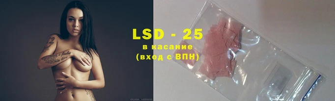 дживик Гусев