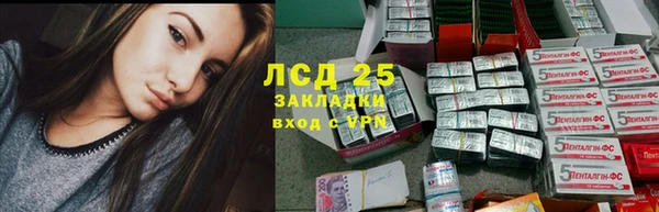 дживик Гусев