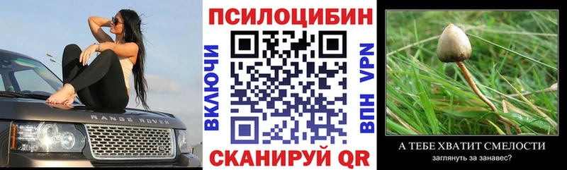 Псилоцибиновые грибы Psilocybe закладка Плавск